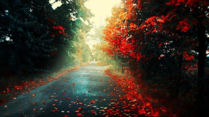 全球最贵互联网域名!AI***以7000万美元天价转手_Domain_加密_收购